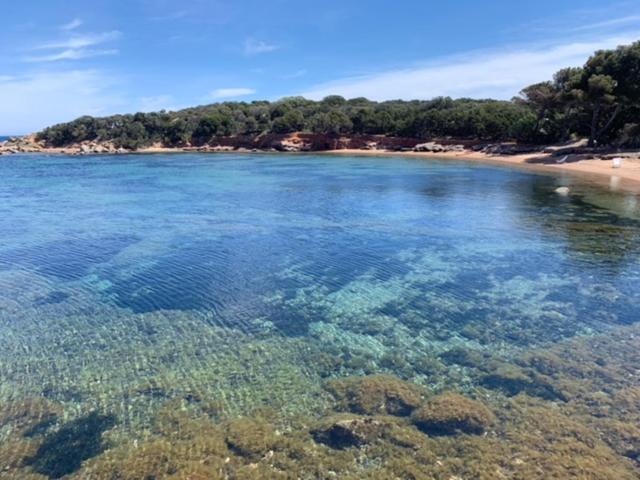 Grande Villa, Corse du Sud, Domaine privé de Cala Rossa Porto-Vecchio  Extérieur photo